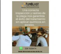 CONTROL DE FAUNA NOCIVA